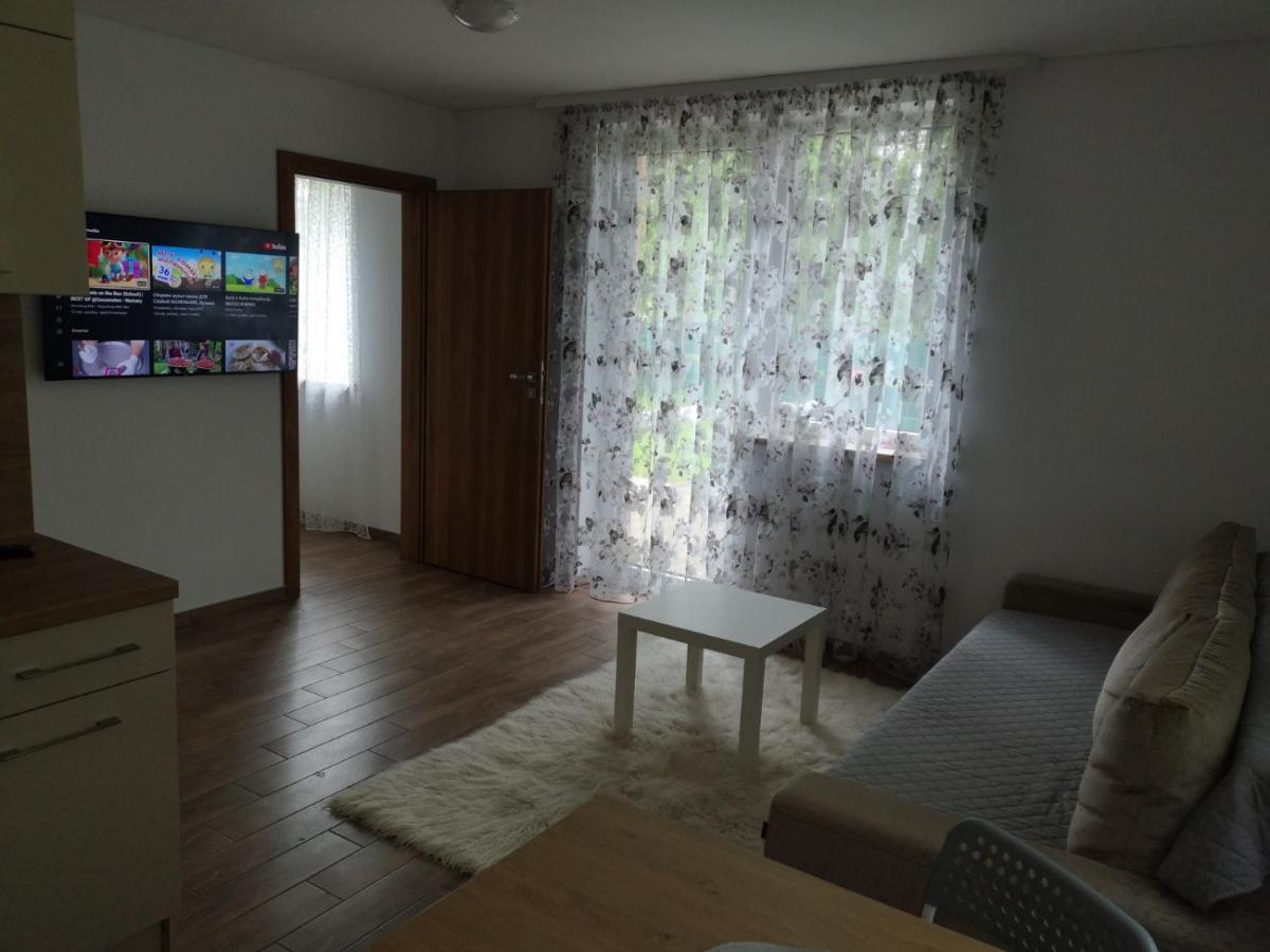 Kristinos Apartment Друскінінкай Екстер'єр фото