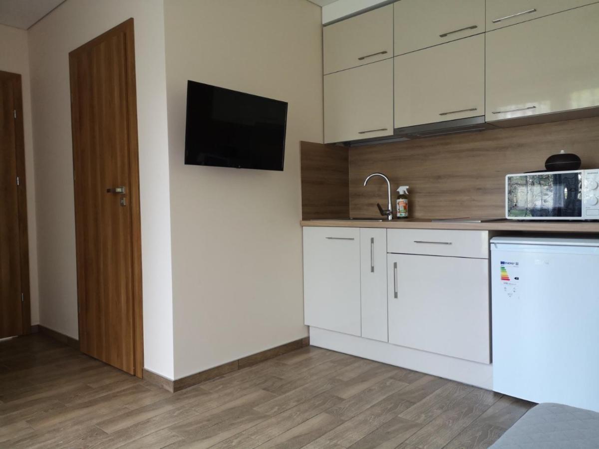 Kristinos Apartment Друскінінкай Екстер'єр фото