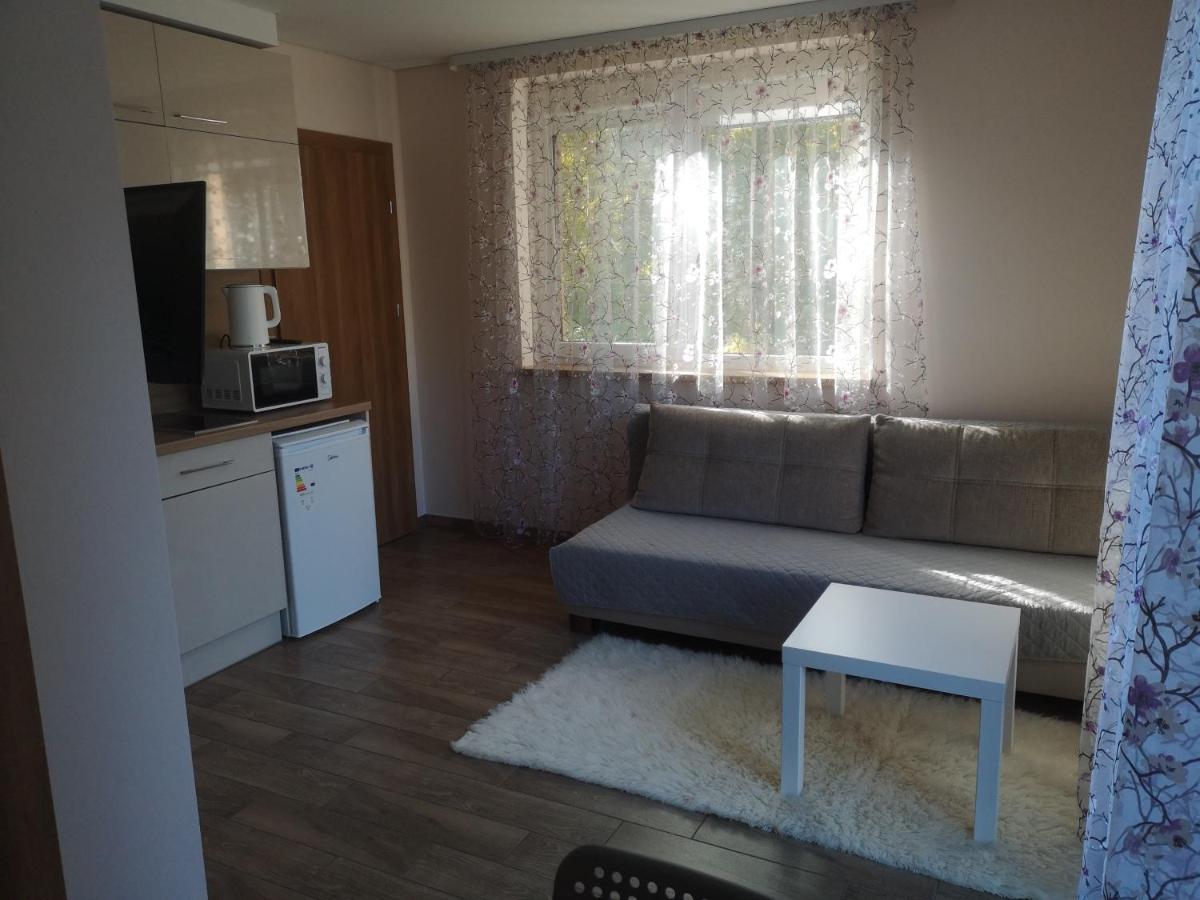 Kristinos Apartment Друскінінкай Екстер'єр фото